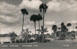 Lake Ivanhoe Orlando, FL Postcard Postcard Postcard