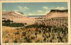 Cape Cod Sand Dunes Massachusetts Postcard Postcard