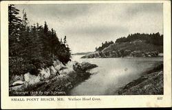 Wallace Head Cove Small Point Beach, ME Postcard Postcard