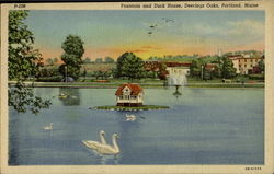 Fountain And Duck House, Deerings Oaks Postcard