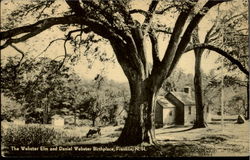 The Webster Elm And Daniel Webster Birthplace Postcard