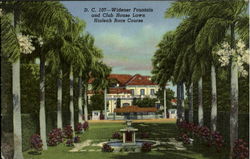 Widener Fountain And Club House Lawn Postcard