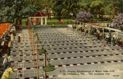 Playing Shuffleboard , Mirror Lake Park Postcard