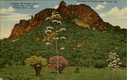 Summit Of Emory Peak Big Bend National Park, TX Postcard Postcard