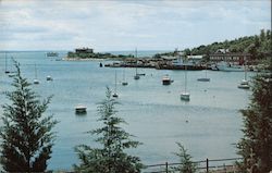 Woods Hole Bay Massachusetts Postcard Postcard Postcard