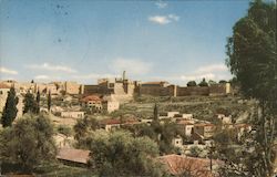 Jerusalem - Citadel and Ancient City Wall Israel Postcard Postcard Postcard