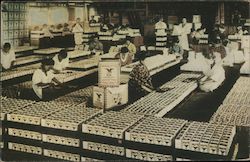 Japanese Girls Packing Hewlett's Fresh, Fragrant Oriental Tea Postcard