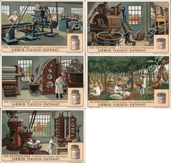 Lot of 5 Trade Cards: Liebig's Extract of Meat Trade Card Trade Card Trade Card