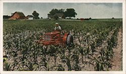 "Wc" Tractor and Cultivator Postcard