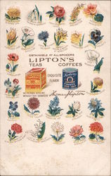 Flower Specimens - Lipton Teas and Coffees Postcard