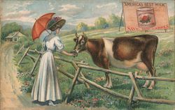 Woman with parasol feeding cow Postcard