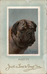 Mastiff Dogs Postcard Postcard Postcard