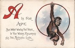 A Is For Ape Say What You Would Think, If You Were Regarded As The Missing Link Postcard