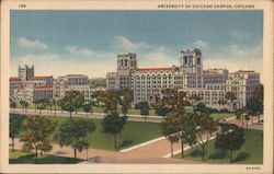 University of Chicago Campus Illinois Postcard Postcard Postcard