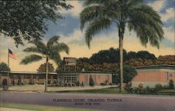 Flamingo Court Orlando, FL Postcard Postcard Postcard