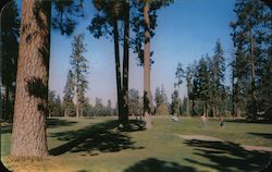 Hayden Lake Golf Course viewed from the 16th hole. Idaho Postcard Postcard Postcard