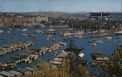 Portage Bay and Seattle Yacht Club Washington Postcard Postcard Postcard