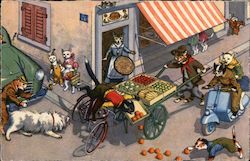 Cat Bike Accident with Fruit Stand Cats Postcard Postcard Postcard