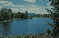 Mountain View Farm House, Orange County Postcard