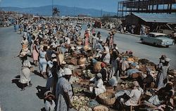 Market Scene at Port-a-Prince Port-au-Prince, Haiti Caribbean Islands Postcard Postcard Postcard