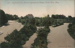 Boulevard and Harvard Agricultural College Postcard