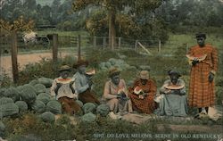 Sho Do Love Melons, Scene in Old Kentucky Black Americana Postcard Postcard Postcard