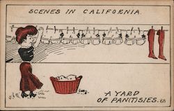 Scenes in California: A Yard of Pan(t)sies Postcard Postcard Postcard