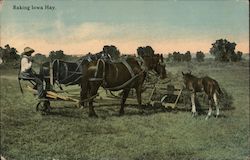 Raking Iowa Hay Postcard