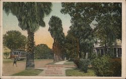 St. Charles Avenue Showing the Garden District New Orleans, LA Postcard Postcard Postcard