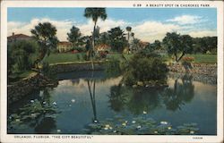 A Beauty Spot in Cherokee Park Orlando, FL Postcard Postcard Postcard