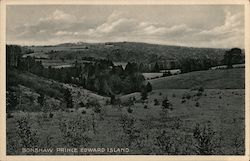 Scenic View Bonshaw, PE Canada Prince Edward Island Postcard Postcard Postcard