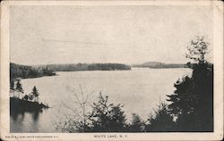 View of White Lake Postcard