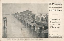 Fishing From of the Atlantic Coast Line Dock St. Petersburg, FL Postcard Postcard Postcard