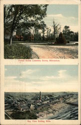 Forest Home Cemetery Scene Postcard