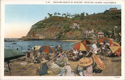 Bathing Beach at Avalon Postcard