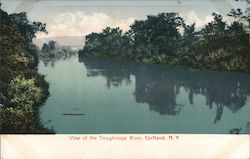 View of the Tioughnioga River Postcard