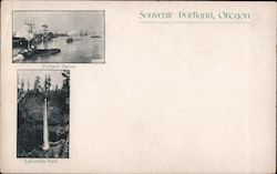 Portland Harbor and Latourelle Falls Oregon Postcard Postcard Postcard