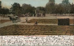 Fruit Drying in California Postcard