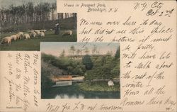 Views in Prospect Park Brooklyn, NY Postcard Postcard Postcard