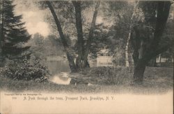 A Park Through the Trees, Prospect Park Brooklyn, NY Postcard Postcard Postcard