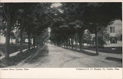 Chestnut Street Gardner, MA Postcard Postcard Postcard