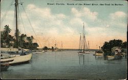 Mouth of the Miami River, The Fleet In Harbor Postcard