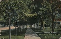 Johnstone Avenue, Looking North From Tenth Street Postcard