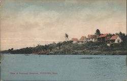 View of Neponset Reservoir Postcard