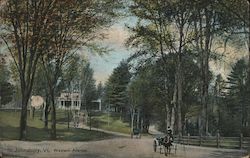 Western Avenue St. Johnsbury, VT Postcard Postcard Postcard