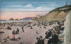 Seal Rocks, Cliff House, and Sutro Heights from the Beach San Francisco, CA Postcard Postcard Postcard