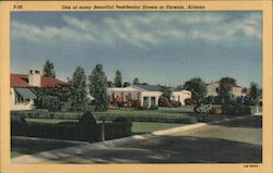 One of Many Beautiful Residential Streets Postcard