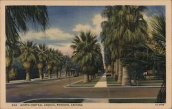 North Central Avenue Phoenix, AZ Postcard Postcard Postcard