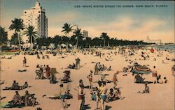 Where Winter Spends the Summer Miami Beach, FL Postcard Postcard Postcard