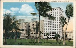 McAllister and Columbus Hotels Miami, FL Postcard Postcard Postcard